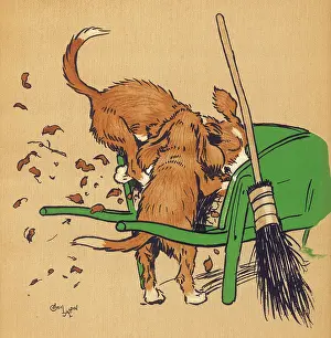 Squabbling: Twin puppies fighting over a bone
