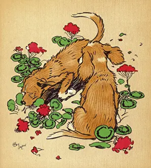 Snip: Twin puppies in geranium bed