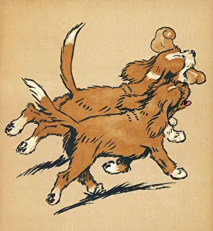 Trot: Twin puppies head home