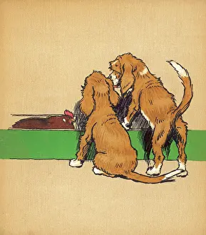 Consider: Twin puppies with hen