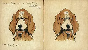 Fortescue: Twin puppies, inside cover