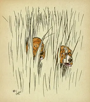 Snip: Twin puppies lost in undergrowth