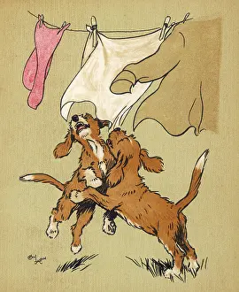 Washday: Twin puppies and washing line