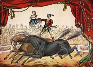 Bareback: The two-horse act