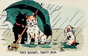 Fend: Two's Company