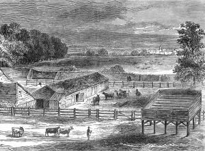 Tyburn: TYBURN
