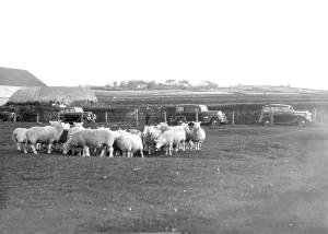 C1935: Tydweiliog, c1935