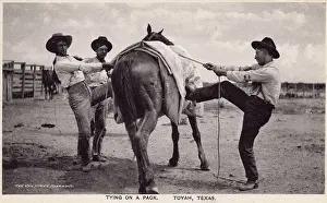 Tying: Tying on a pack, Toyah, Texas, USA