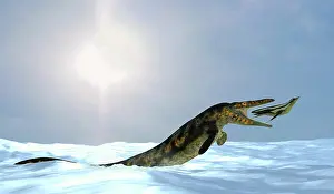 Biting: A Tylosaurus attacks a fleeing Dolichorhynchops