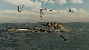 Vulnerability: Tylosaurus attacks a Styxosaurus in Cetaceous waters