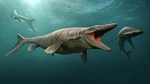 Menacing: Tylosaurus hunting a shark