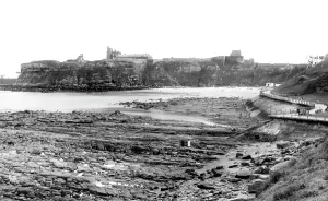 Tynemouth: Tynemouth, across the Bay c1955
