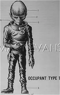 Occupant: TYPE 1 OCCUPANT