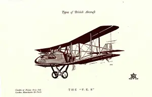 Biplanes: Types of British Aircraft -- The FE8