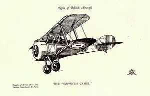 Biplanes: Types of British Aircraft -- The Sopwith Camel