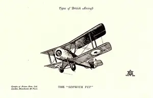 Biplanes: Types of British Aircraft -- The Sopwith Pup