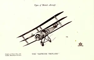 Sopwith: Types of British Aircraft -- The Sopwith Triplane