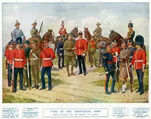 Territorials: TYPES OF TERRITORIALS