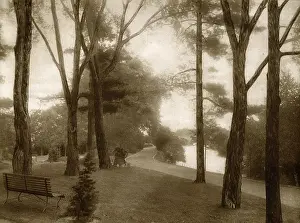 Ottawa: Typical scene on Driveway, Ottawa, Ontario, Canada