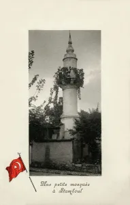 Creepers: Typical Small Neighbourhood Mosque in Istanbul, Turkey