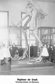 Exhibit: Tyrannosaurus basin with hind legs, 1908