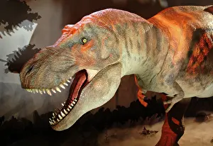 Tyrant: Tyrannosaurus rex