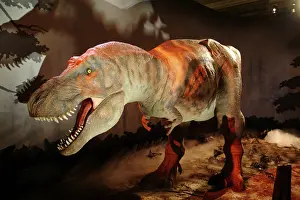 Tyrant: Tyrannosaurus rex
