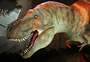 Tyrant: Tyrannosaurus rex