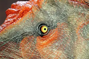 Tyrant: Tyrannosaurus rex