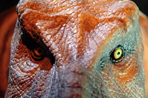 Tyrant: Tyrannosaurus rex