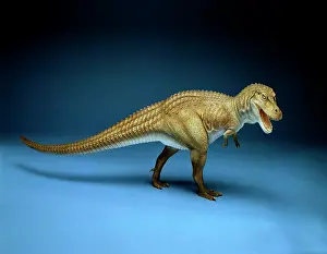 Tyrant: Tyrannosaurus rex