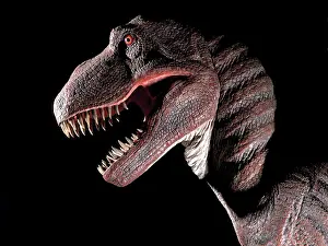 Tyrant: Tyrannosaurus rex