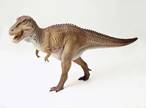 Tyrant: Tyrannosaurus rex