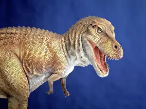 Tyrant: Tyrannosaurus rex