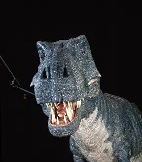 Tyrant: Tyrannosaurus rex