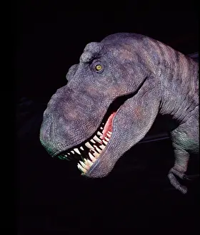Tyrannosaur: Tyrannosaurus rex