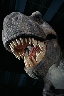Tyrannosaur: Tyrannosaurus rex