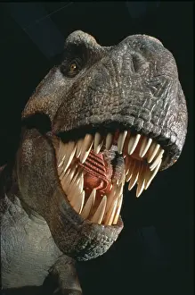 Tyrannosaur: Tyrannosaurus rex