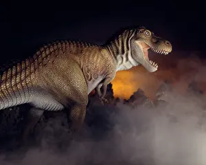 Tyrannosaur: Tyrannosaurus rex