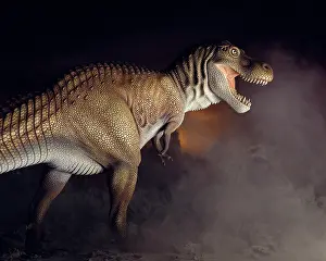 Tyrannosaur: Tyrannosaurus rex