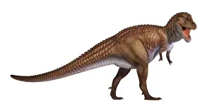 Tyrannosaur: Tyrannosaurus rex