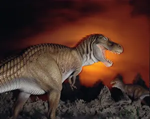 Tyrannosaur: Tyrannosaurus rex