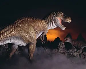 Tyrannosaur: Tyrannosaurus rex