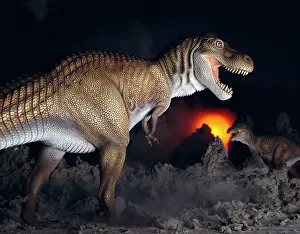 Tyrannosaur: Tyrannosaurus rex