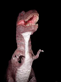 Tyrannosaur: Tyrannosaurus rex