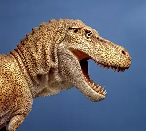 Tyrannosaur: Tyrannosaurus rex