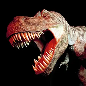 Tyrannosaur: Tyrannosaurus rex
