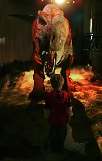Tyrannosaur: Tyrannosaurus rex