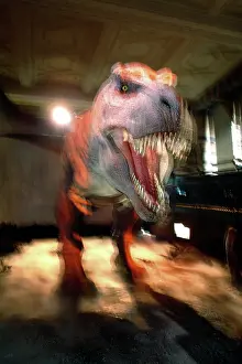 Tyrannosaur: Tyrannosaurus rex