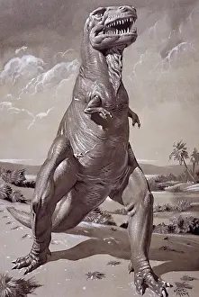 Neave: Tyrannosaurus rex